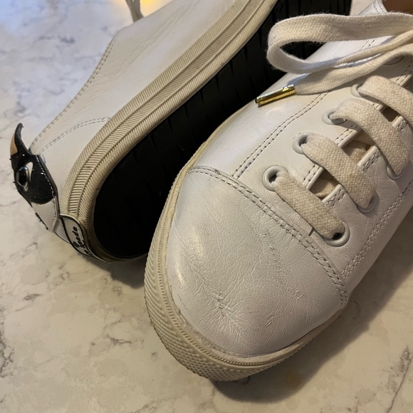 Kate Spade Lucie French Bulldog Sneakers - Picture 7 of 7